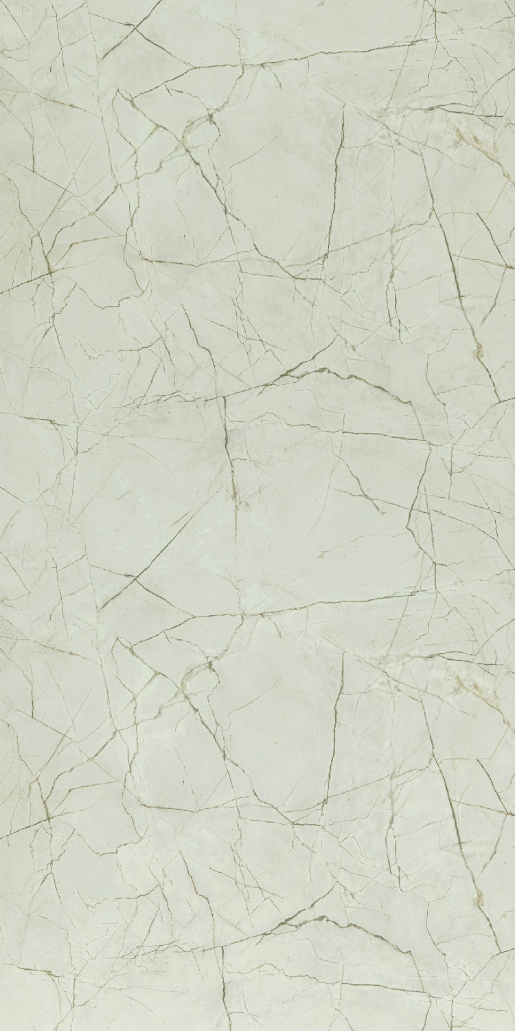 Formica Cora
